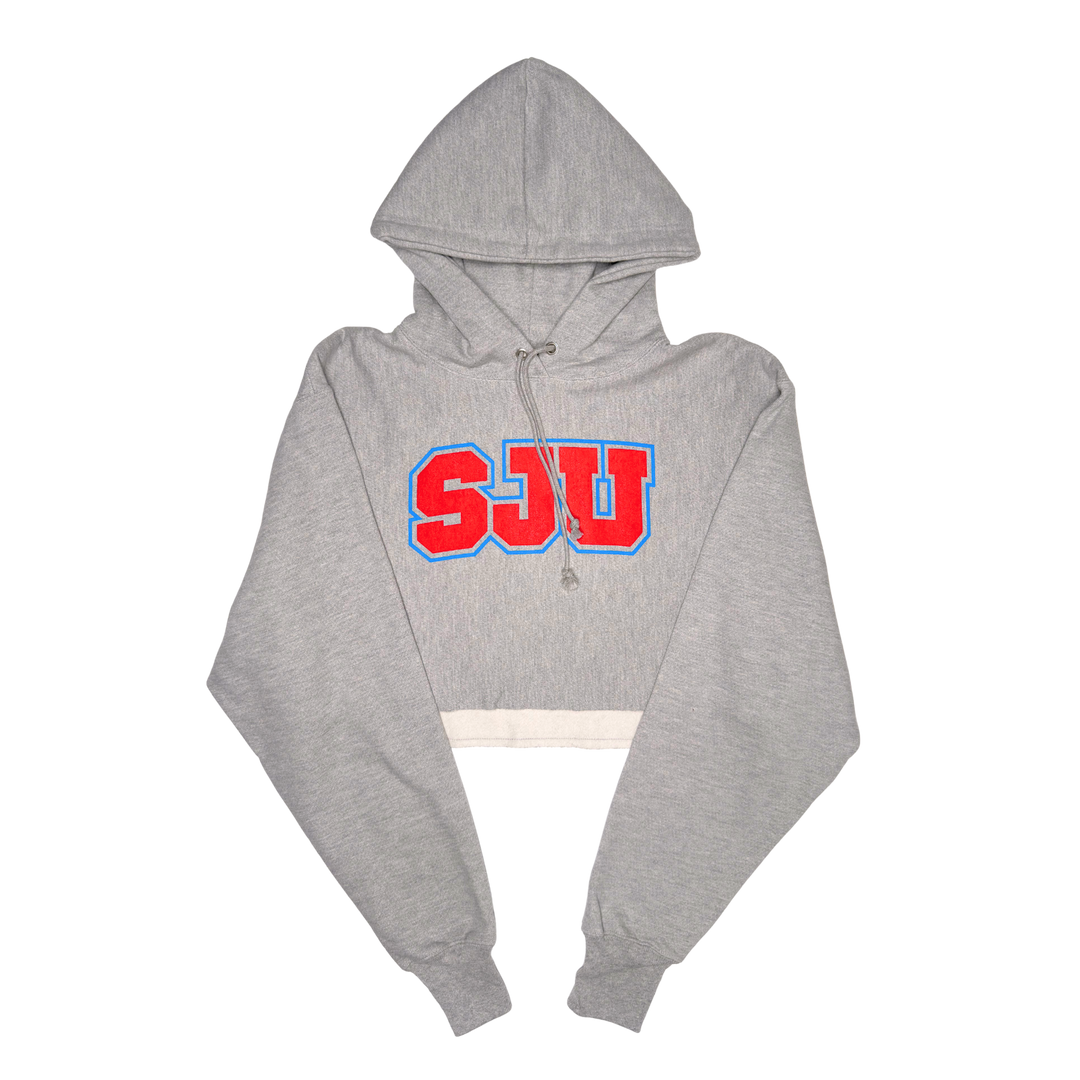 CHAMPION HOODED SWEATSHIRT CROPPED SJU