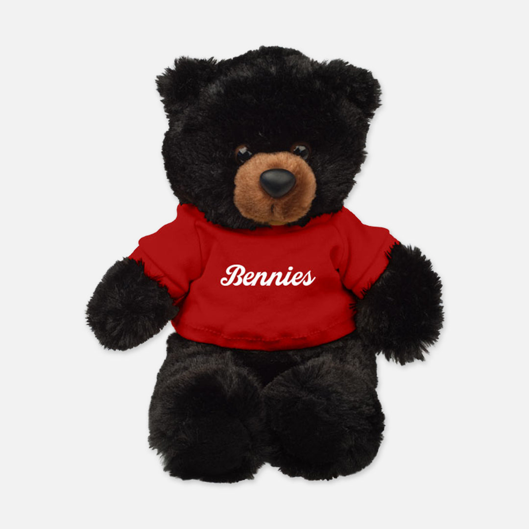 PLUSH TEDDY BEAR BENNIES