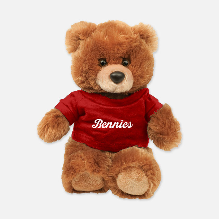 PLUSH TEDDY BEAR BENNIES