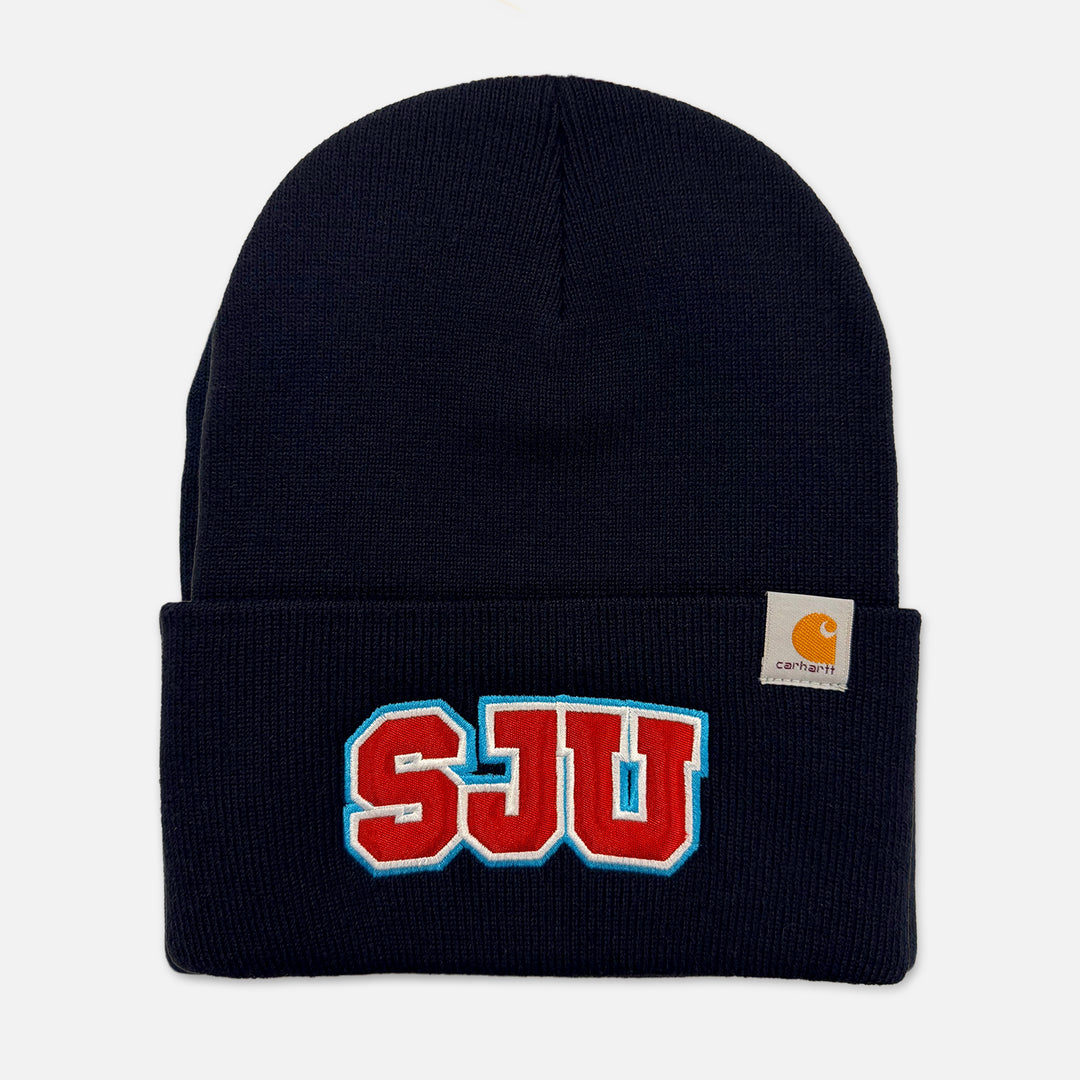 CARHARTT BEANIE SJU